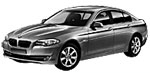 BMW F10 B18E5 Fault Code